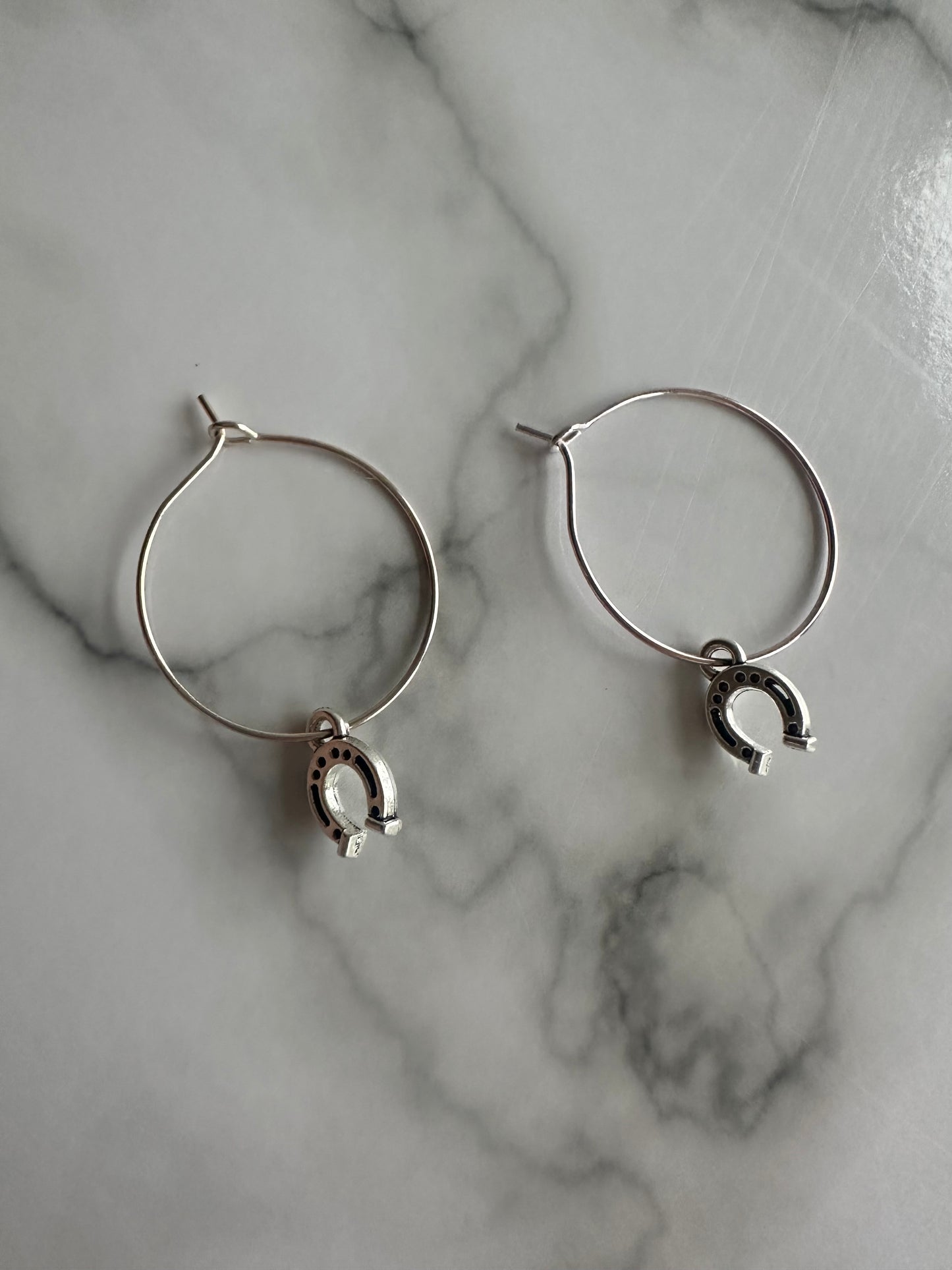 Horseshoe Earrings