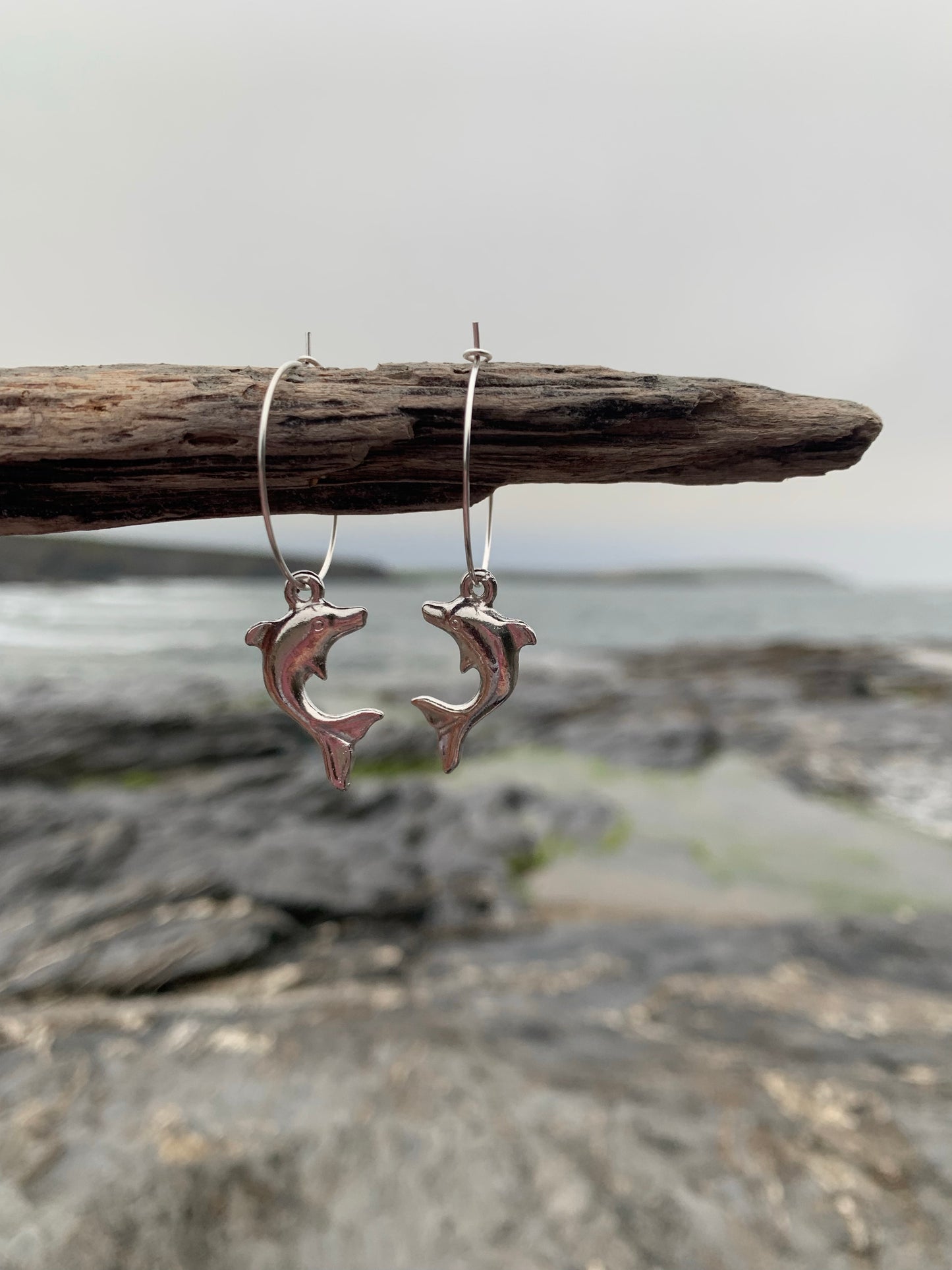 Dolphin Earrings