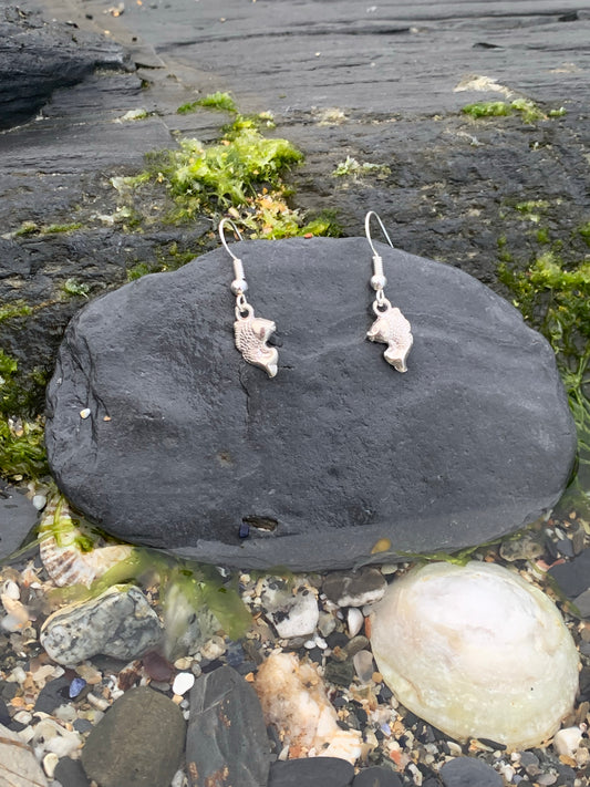 Dancing Fish Earrings
