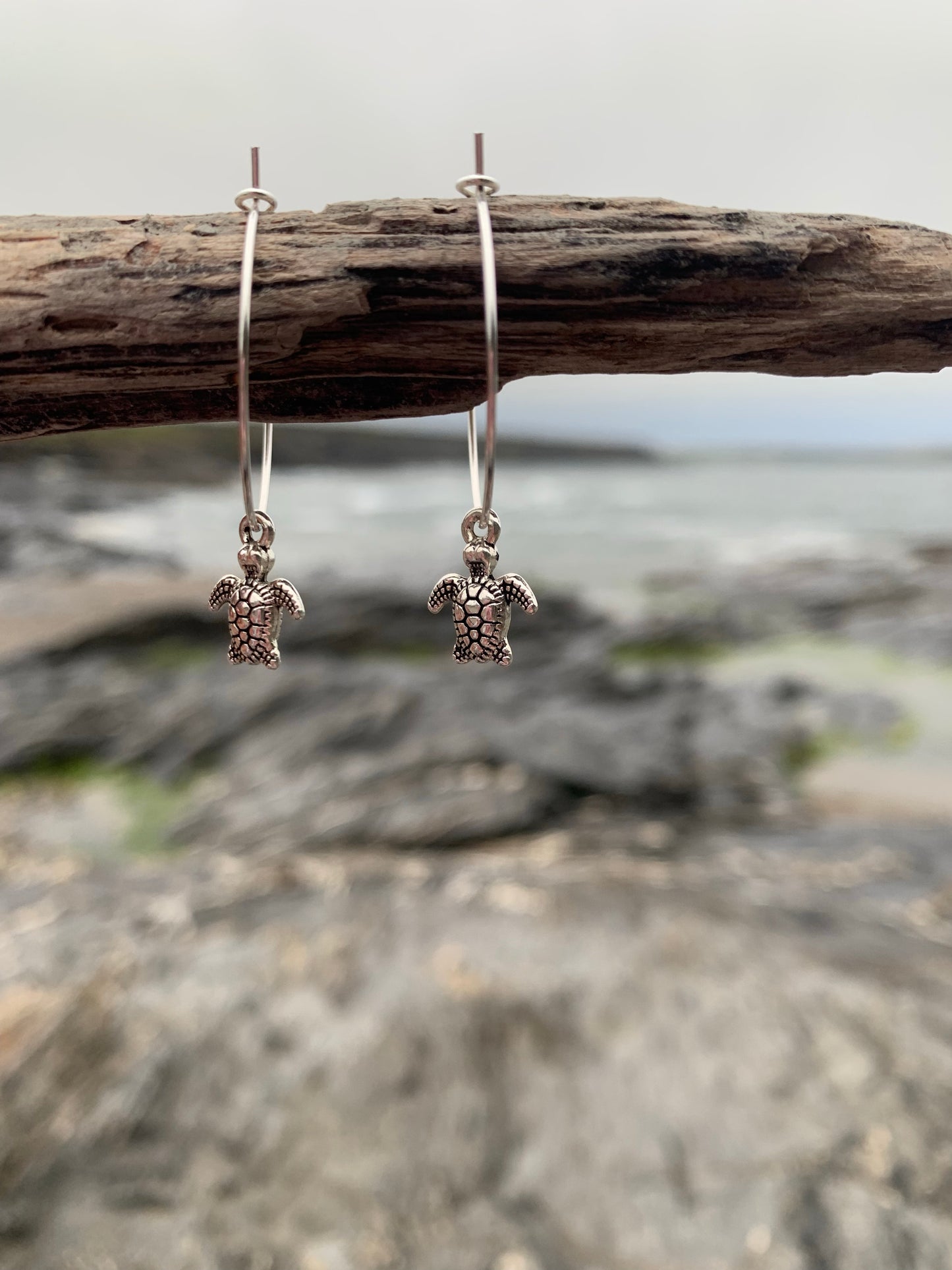 Tiny Turtle Earrings